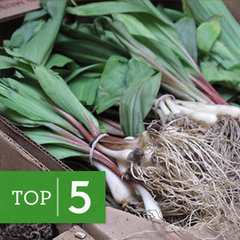 Spring Produce Recipes