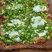 Asparagus Pizza