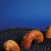 The Loch Ness Bagel Monster
