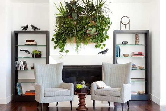 For the Indoor Green Thumb