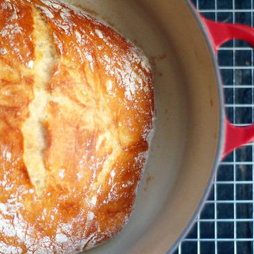 Easy Recipes From Scratch