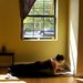 Dolphin Plank