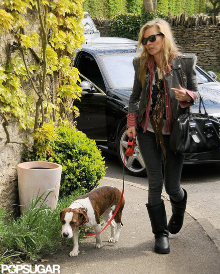 Kate Moss walked Archie the dog. Kate Moss walked Archie the dog.