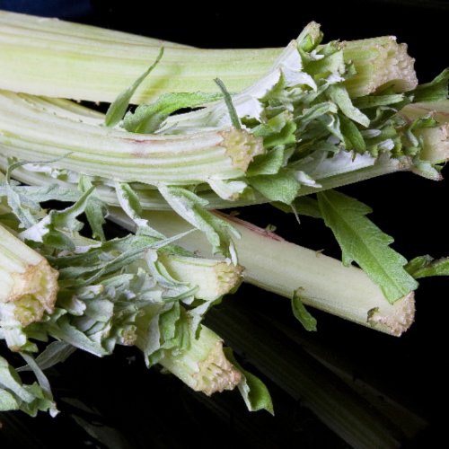 Cardoons Taste and How to Cook