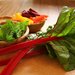 Vegetable Chard Wraps