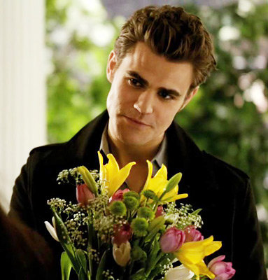 Season 1, Episode 16: There Goes the Neighborhood..Stefan and Elena