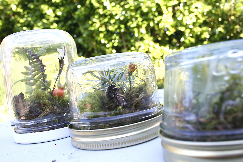Upcycle Your Baby Food Jars Into Terrariums Upcycle Your Baby Food Jars Into Terrariums