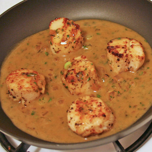 Scallop Recipe For Beginners