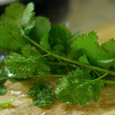 What to Do With Leftover Cilantro