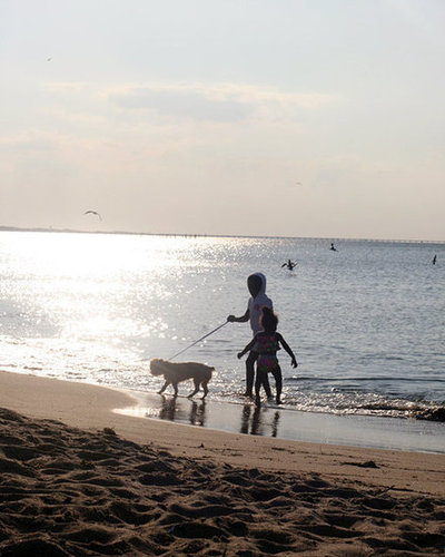 A Day at the Beach A Day at the Beach