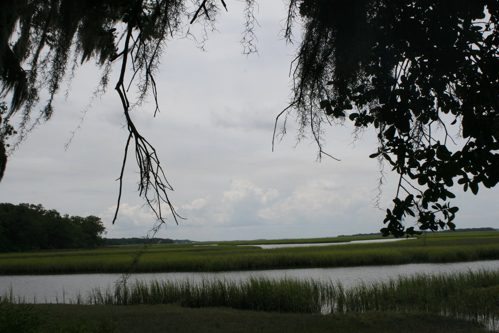 Cumberland Island, GA Cumberland Island, GA