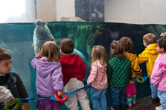 New England Aquarium: Boston, MA