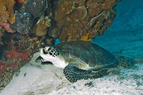 Biscayne National Park: Florida Biscayne National Park: Florida