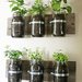 Create an Indoor Herb Garden