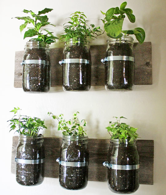 Create an Indoor Herb Garden