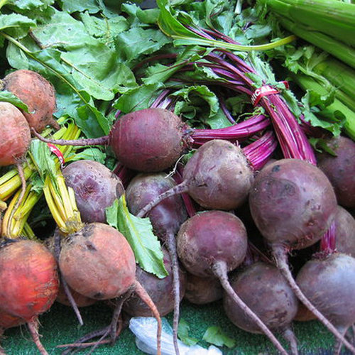 Beets: Love Them or Leave Them? Beets: Love Them or Leave Them?