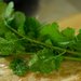 Cilantro: Love It or Leave It?
