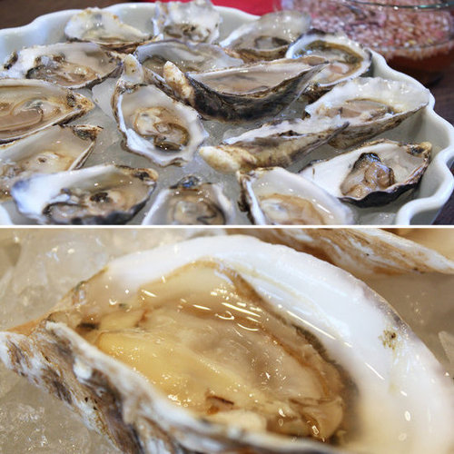 Oysters: Love Them or Leave Them? Oysters: Love Them or Leave Them?