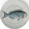 Fish Home Decor For Summer