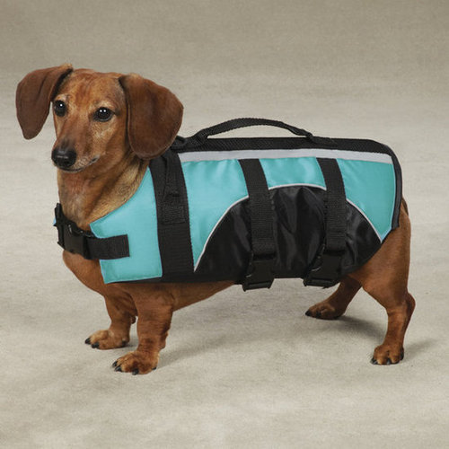 Guardian Gear Brite Dog Life Jacket Guardian Gear Brite Dog Life Jacket