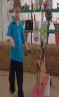Mr. Bean Does the Dog Show