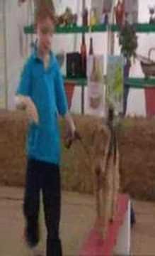 Mr. Bean Does the Dog Show