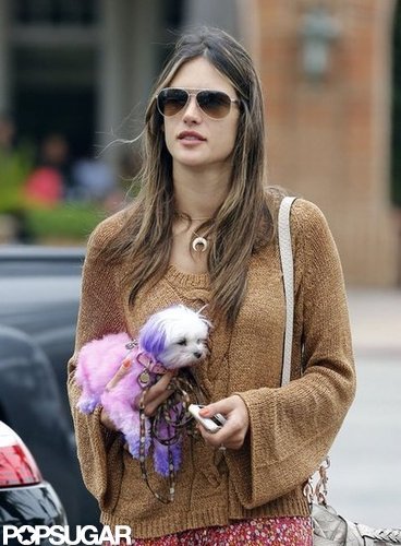 Alessandra Flaunts Postbaby Bikini Body and Shows PDA on the Beach Alessandra Flaunts Postbaby Bikini Body and Shows PDA on the Beach