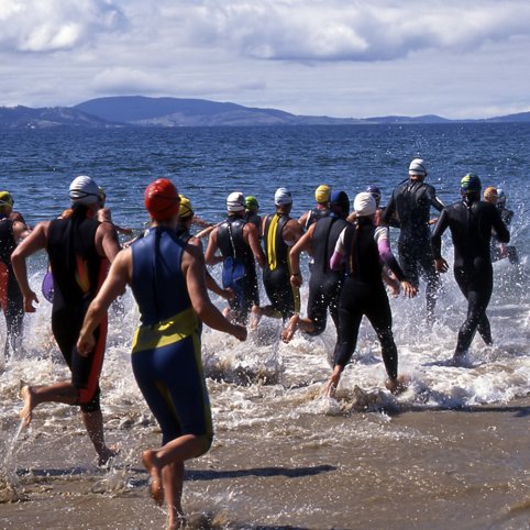 Open-Water Race Tips