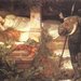 Sleeping Beauty, 1846-1902