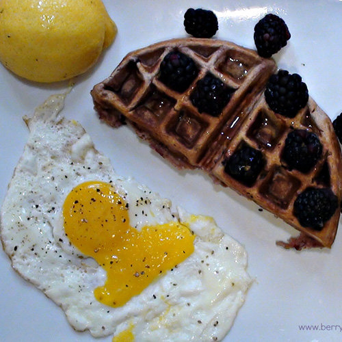 The tastes of Summer are about to invade a kitchen near you. Invigorate your morning with these lemon and blackberry waffles. The combination of citrus and tangy berries is sure to dissolve any case of the Mondays.
The tastes of Summer are about to invade a kitchen near you. Invigorate your morning with these lemon and blackberry waffles. The combination of citrus and tangy berries is sure to dissolve any case of the Mondays.