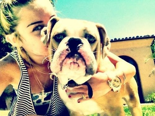 Miley Cyrus lounged by the pool with her dog Ziggy.
Source: Twitter user MileyCyrus
Miley Cyrus lounged by the pool with her dog Ziggy.
Source: Twitter user MileyCyrus