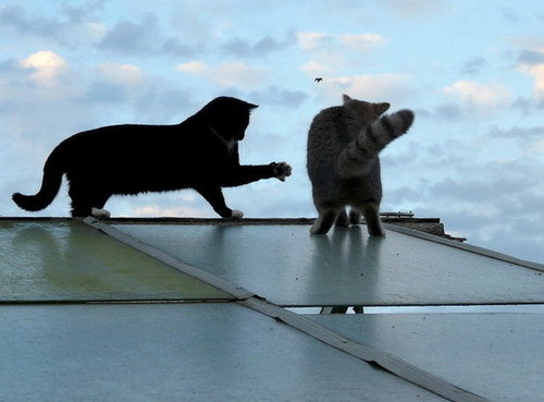 Source: Flickr User e³°°°
Source: Flickr User e³°°°