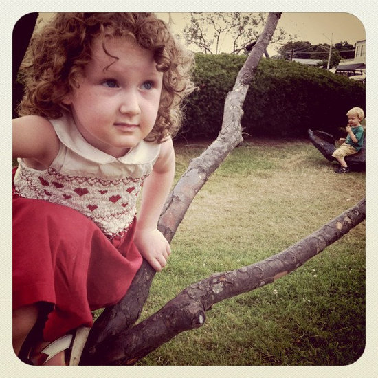 Climb a Tree Climb a Tree