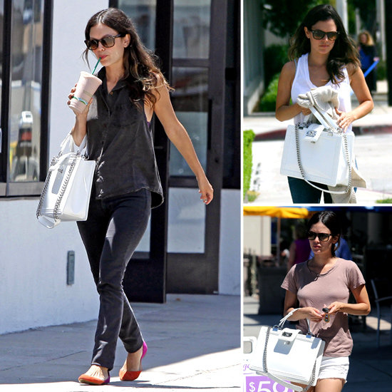 Rachel Bilson's Chanel Boy Handbag Rachel Bilson's Chanel Boy Handbag