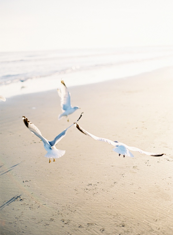 terrablack :: Leisure :: Beachside Lounging