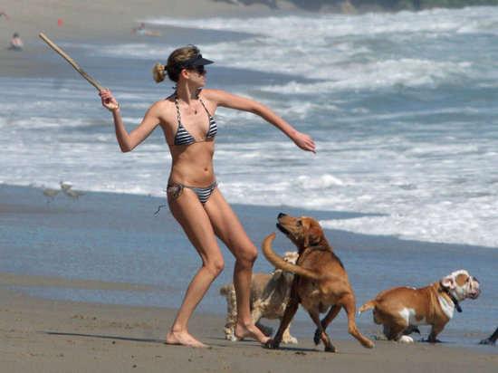 Charlize Theron wore a bikini with her pups on the beach in LA during August 2006.
Charlize Theron wore a bikini with her pups on the beach in LA during August 2006.