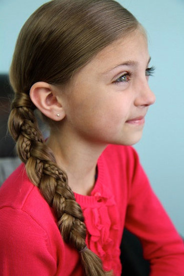 Simple Braid With Microbraid Accents Simple Braid With Microbraid Accents