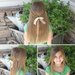 Bohemian Braids