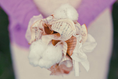 Soft Focus Soft Focus