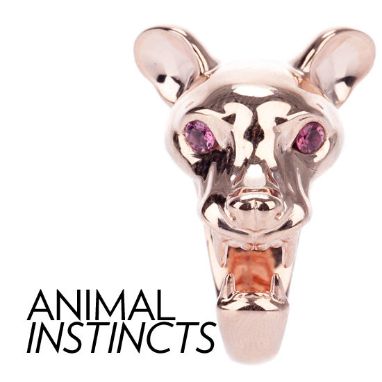 Animals Animals