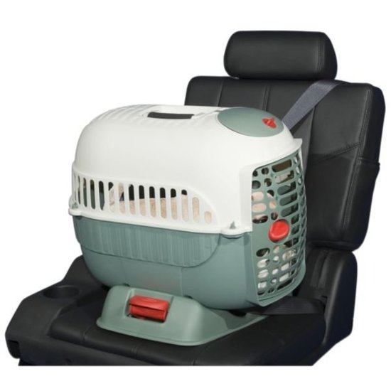 A Cat Carrier