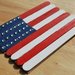 Craft Stick Flag