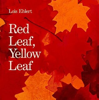 Fall Books For Kids