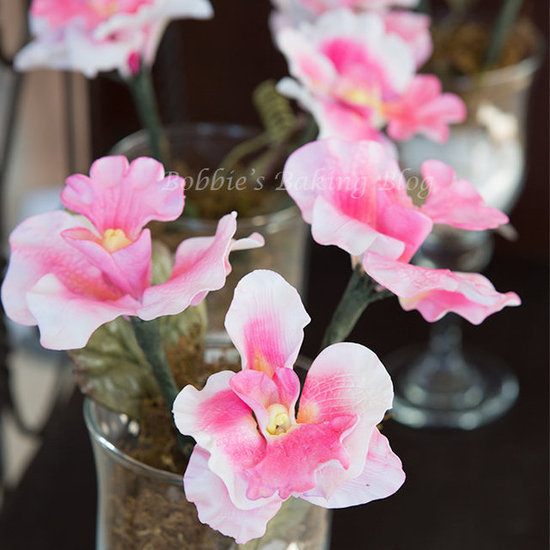 sugar paste orchids sugar paste orchids