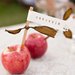 Apples as Escort Cards
