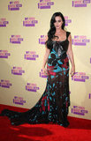 Katy Perry(2012 MTV VMA)