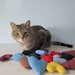 Pet Toys