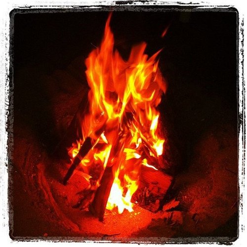 Make a Bonfire Make a Bonfire