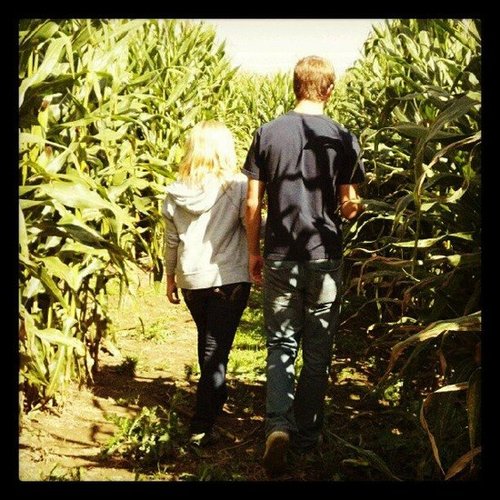 Wander a Corn Maze Wander a Corn Maze