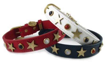 American Dog Studded Collar ($42) American Dog Studded Collar ($42)